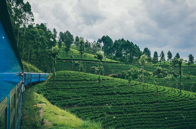 From Kandy: Second/Third Class Scenic Train Ticket to Ella - Pros and Cons: Finding the Balance
