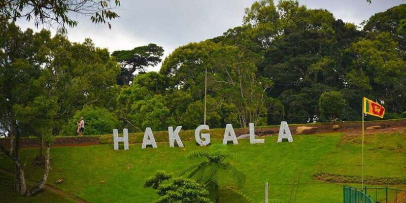 From Kandy To Nuwara Eliya Drop Tour - Private Tour - Cost and Value