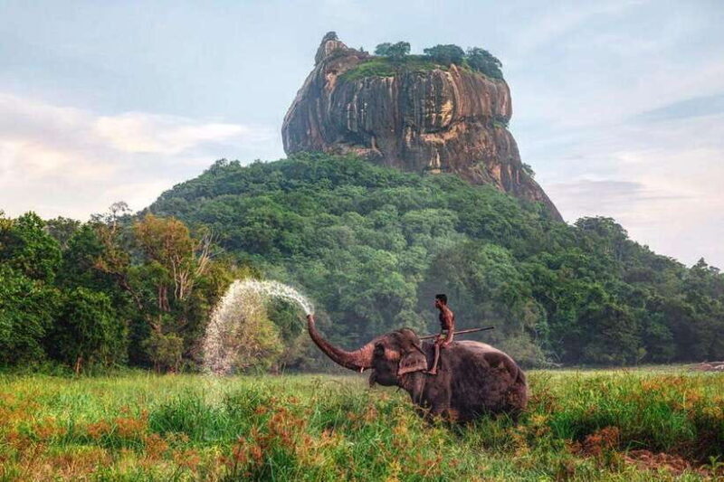 From : Kandy to Sigiriya Private Guide Tour by Tuk Tuk - Dambulla Cave Temple: A Sacred Marvel