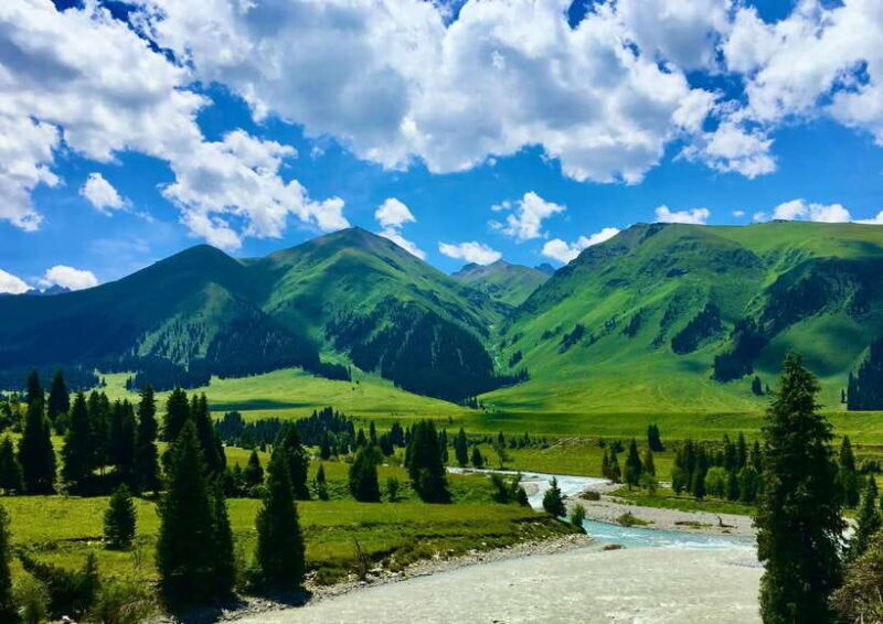 From Kashgar: 5-Day Silk Road Adventure with Accommodation - Who Will Appreciate This Tour?