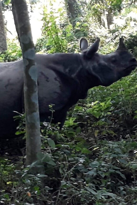 From Kathmaandu: 3 Day 2 Night Chitwan National Park Tour - An Honest Look at the Experience