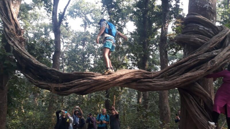 From Kathmaandu: 3 Day 2 Night Chitwan National Park Tour - FAQs