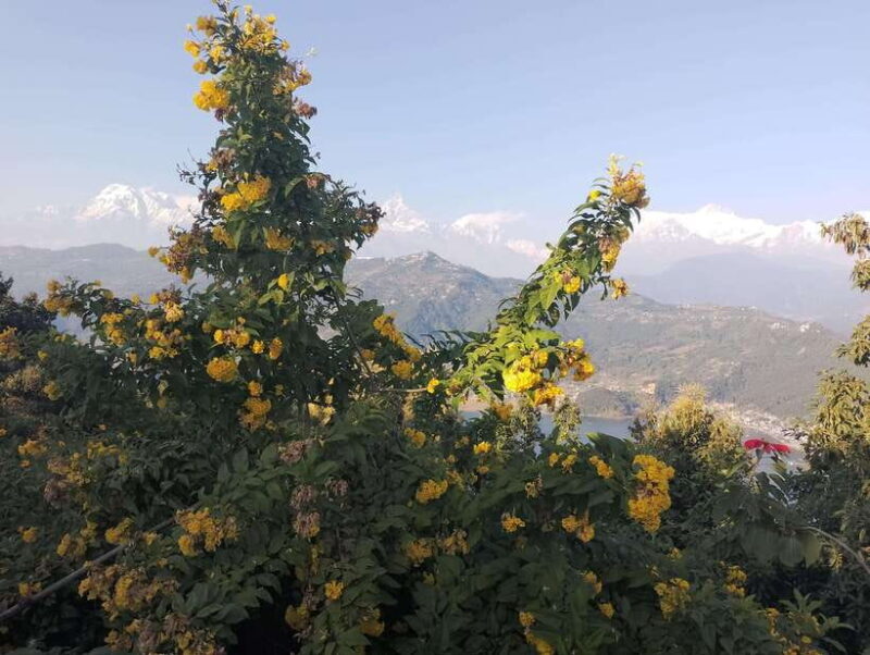 From Kathmandu: 10-Day Tour of Nepal with Accommodation - Exploring Nepal in 10 Days — What’s Included and How It Works