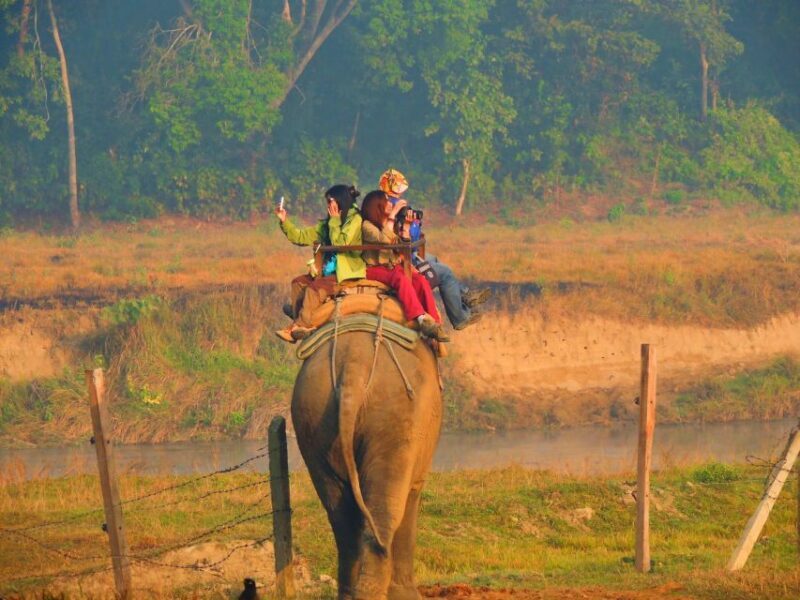 From Kathmandu: 3-Day Chitwan National Park & Elephants Tour - What Travelers Say & Why It Matters