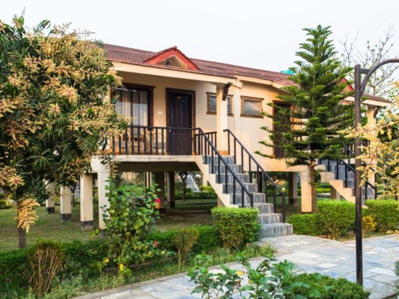 From Kathmandu: 3-Day Chitwan National Park & Elephants Tour - Practical Details & Tips