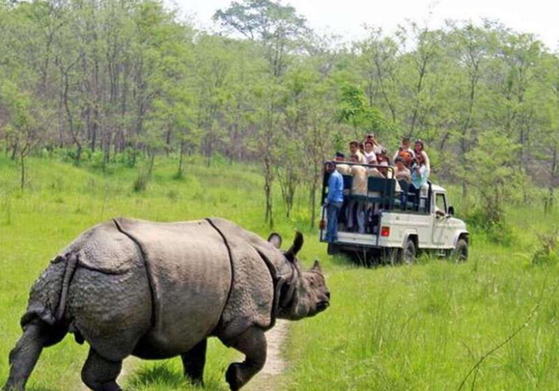 From Kathmandu: 3-Day Chitwan National Park Tour - What Makes This Tour Stand Out?