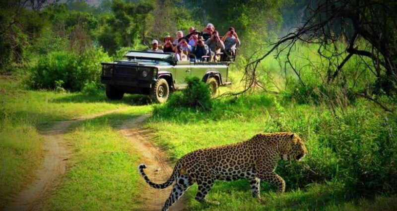 From Kathmandu: 3-Day Chitwan National Park Tour - FAQ