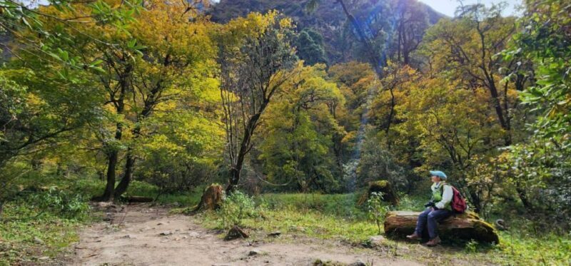 From Kathmandu: 5 Day Langtang Valley Nature Explore Trek - Authentic Encounters and Cultural Highlights