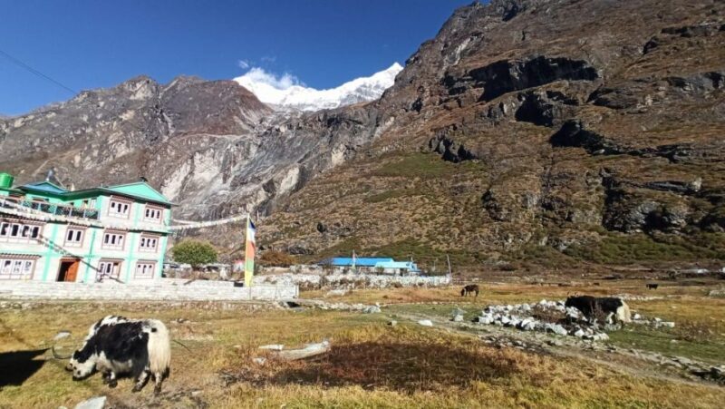 From Kathmandu: 5 Day Langtang Valley Nature Explore Trek - FAQ