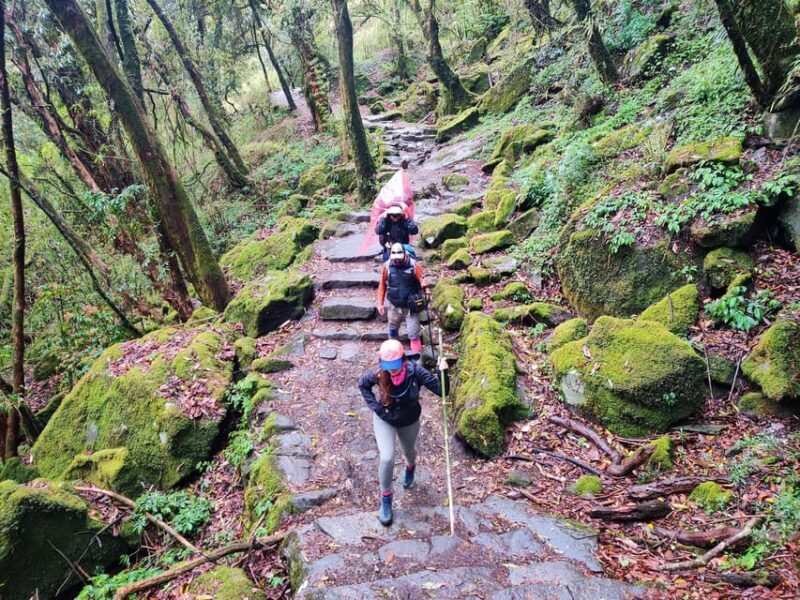 From Kathmandu: 5 Days Annapurna Base Camp Trek with flight - FAQ