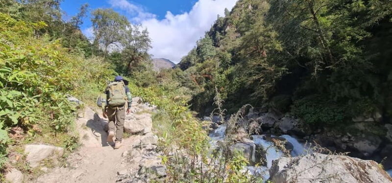 From Kathmandu: 7-Day Langtang Valley Trek - Day 5: Sunrise Hike to Kyanjing Ri & Return