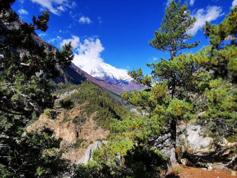 From Kathmandu Budget: 8 Day Private Annapurna Circuit Trek - Key Points