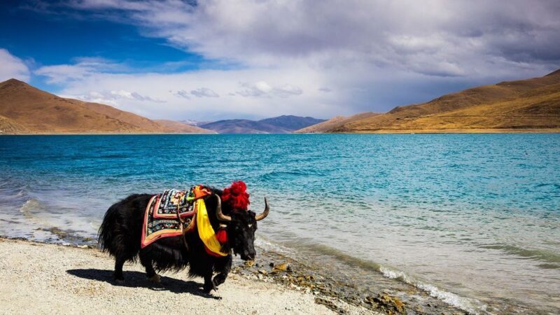 From Kathmandu: Multi-Day Tibet Highlights Trip - Final thoughts