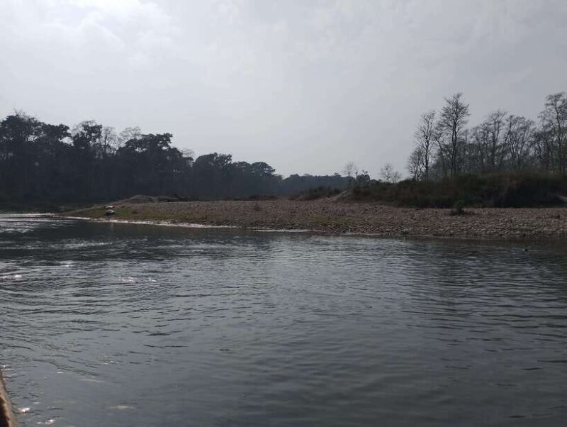 From Kathmandu or Pokhara: 4-Day Chitwan National Park Tour - A Practical Guide to the 4-Day Chitwan Adventure