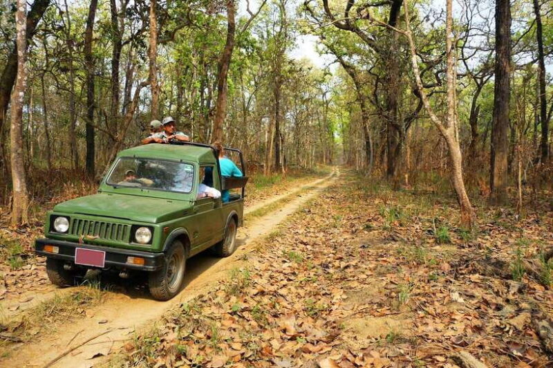 From Kathmandu/Pokhara: 2, 3, or 4-Day Chitwan Jungle Safari - Introducing the Chitwan Jungle Safari Experience