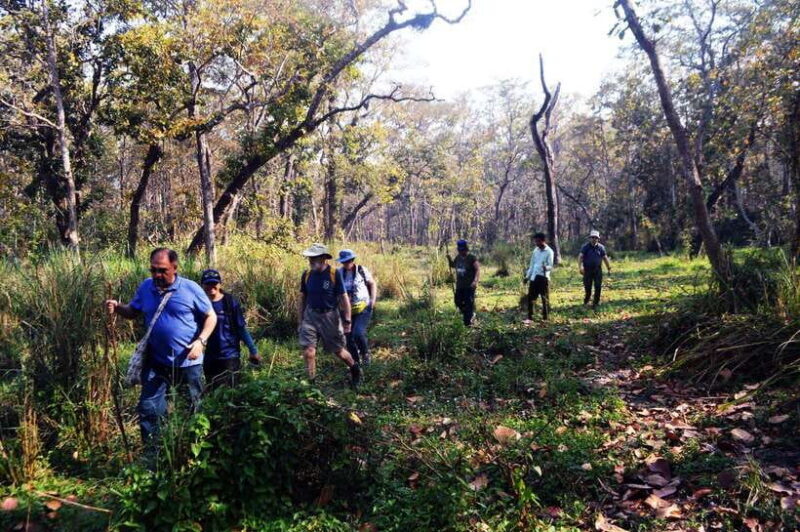 From Kathmandu/Pokhara: 2, 3, or 4-Day Chitwan Jungle Safari - The Richness of the 3- and 4-Day Tours