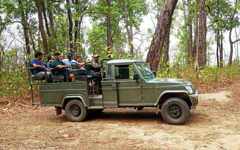 From Kathmandu/Pokhara: 2, 3, or 4-Day Chitwan Jungle Safari - Final Thoughts: Is This Tour Right for You?