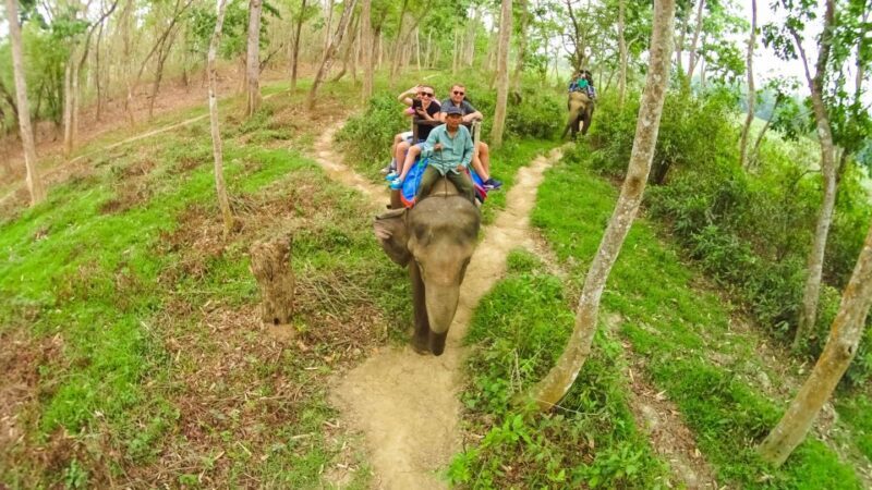 From Kathmandu/Pokhara: 3 Day All-Inclusive Chitwan Safari - An In-Depth Look at the 3-Day Chitwan Safari