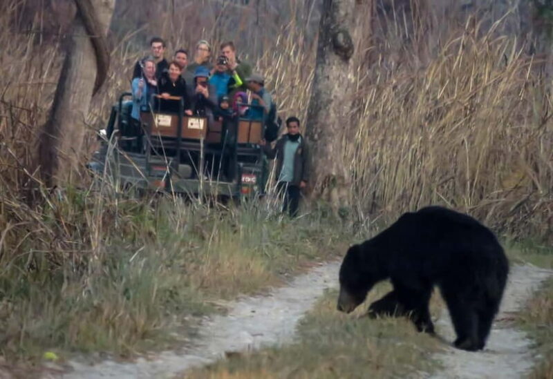 From Kathmandu/Pokhara: 3-Day Chitwan National Park Tour - An In-Depth Look at the Chitwan Experience