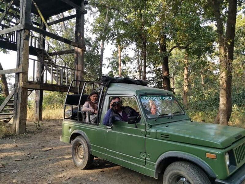 From Kathmandu/Pokhara: Bardiya National Park 4-Day Tour - Detailed Breakdown of the Itinerary