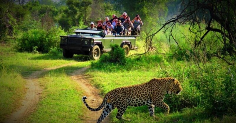From Kathmandu/Pokhara: Private 3-Day Chitwan Safari Tour - Key Points