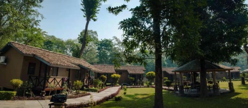 From Kathmandu/Pokhara: Private 3-Day Chitwan Safari Tour - Practical Tips for Travelers