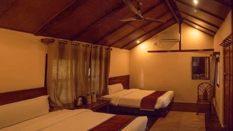 From Kathmandu/Pokhara: Private 3-Day Chitwan Safari Tour - The Sum Up