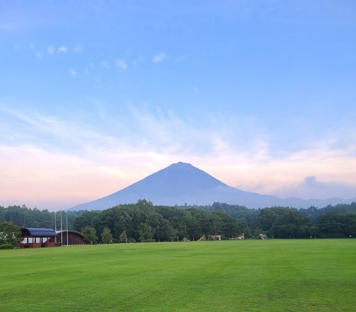 From Kawaguchiko: Mt. Fuji Private Tour with a Local Guide - A Detailed Look at the Tour Experience