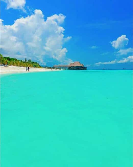 FROM KENDWA; Mnemba snorkelling and Dolphin tour - Key Points