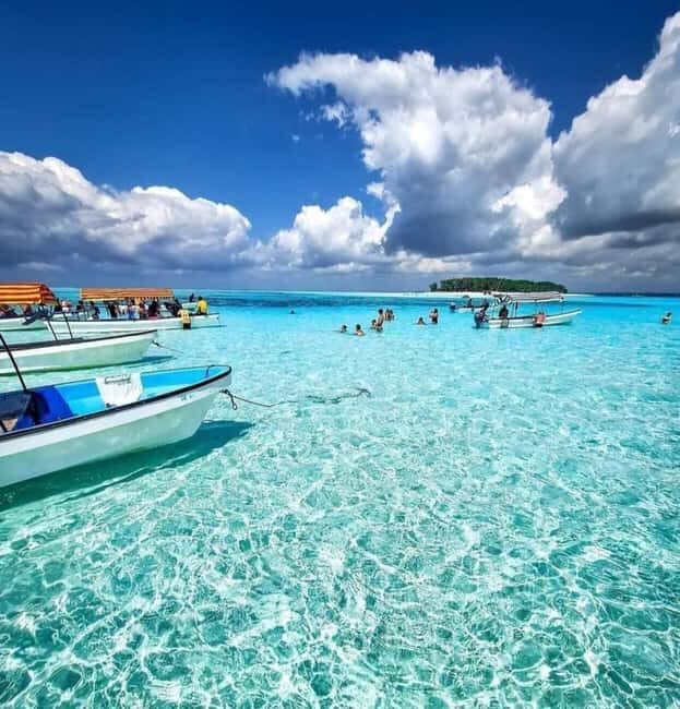 FROM KENDWA; Mnemba snorkelling and Dolphin tour - Practical Details: What Travelers Should Know