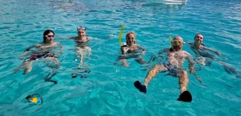 From Kendwa/Nungwi: Mnemba Dolphins with Snorkel Tour - Who Would Love This Tour?
