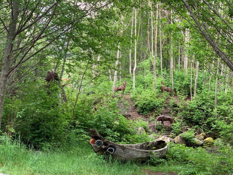 From Ketchikan: Potlatch Totem Park and Herring Cove Tour - Final Thoughts: Who Should Consider This Tour?