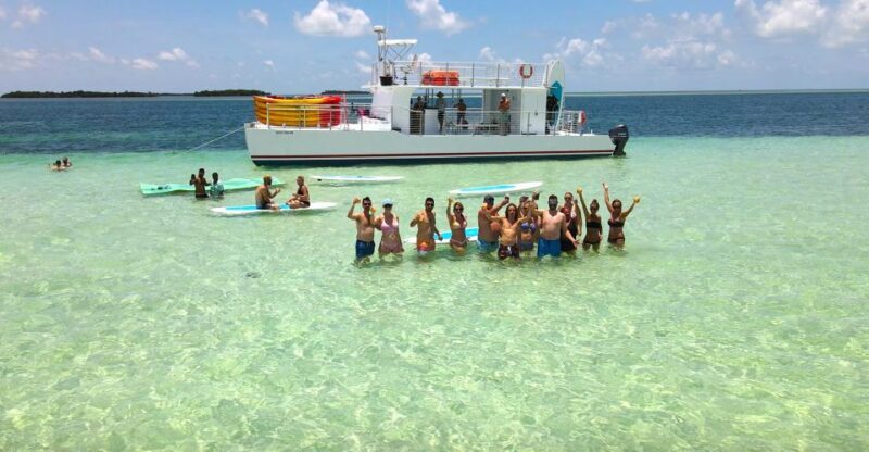 From Key West: Dolphin Watching Tour with Lunch & Drinks - An In-Depth Look at the Experience