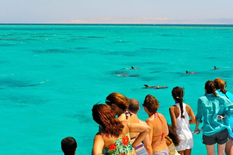 From Key West: Dolphin Watching Tour with Lunch & Drinks - What We Love and What to Consider