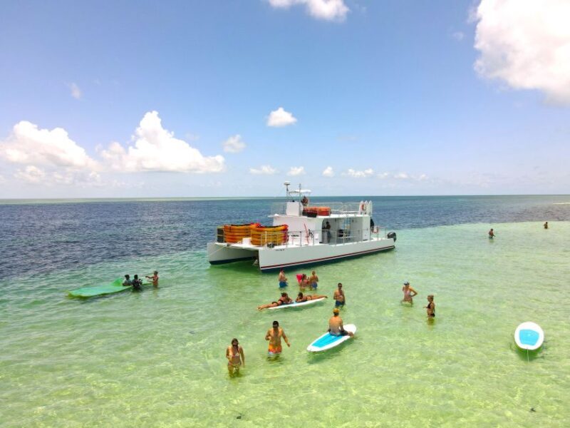 From Key West: Dolphin Watching Tour with Lunch & Drinks - Who Should Book This Tour?