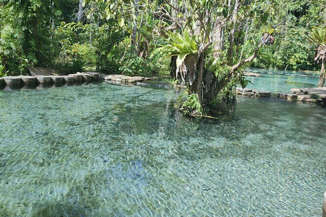 From Khao Lak : Cheow Lan Lake & Nam Rad Emerald Pool - The Sum Up