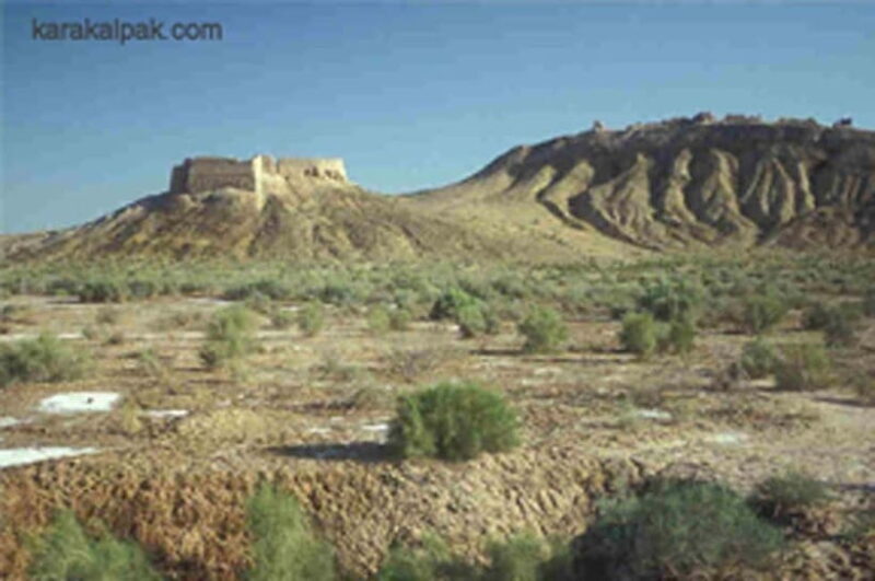 From Khiva: Khorezm Fortresses Adventure Tour - The Travel Experience: A Day in the Desert