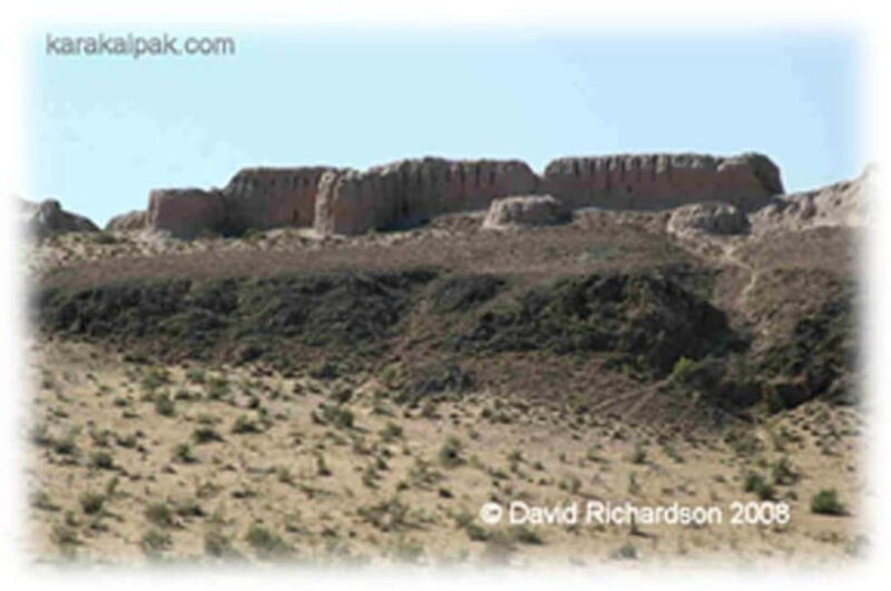 From Khiva: Khorezm Fortresses Adventure Tour - Authentic Insights from Reviews