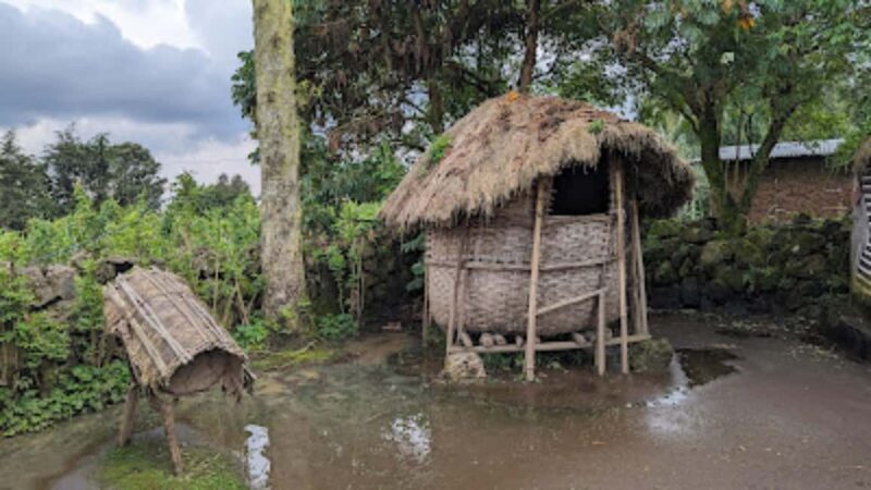 From Kigali: 1-Day IbyIwacu Cultural Village Visit - Practical Tips