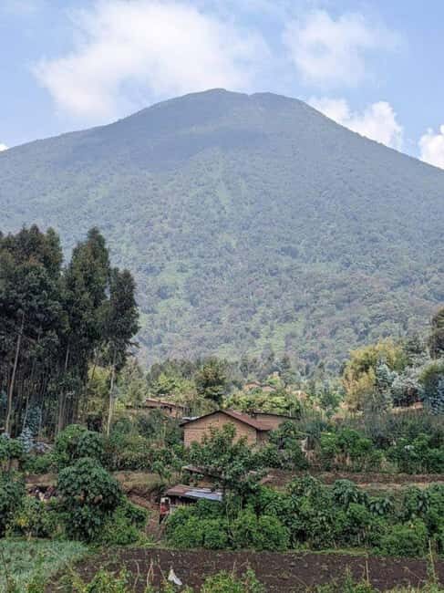 From Kigali: 2-Day Gorilla Trekking Safari in Rwanda - What Travelers Say