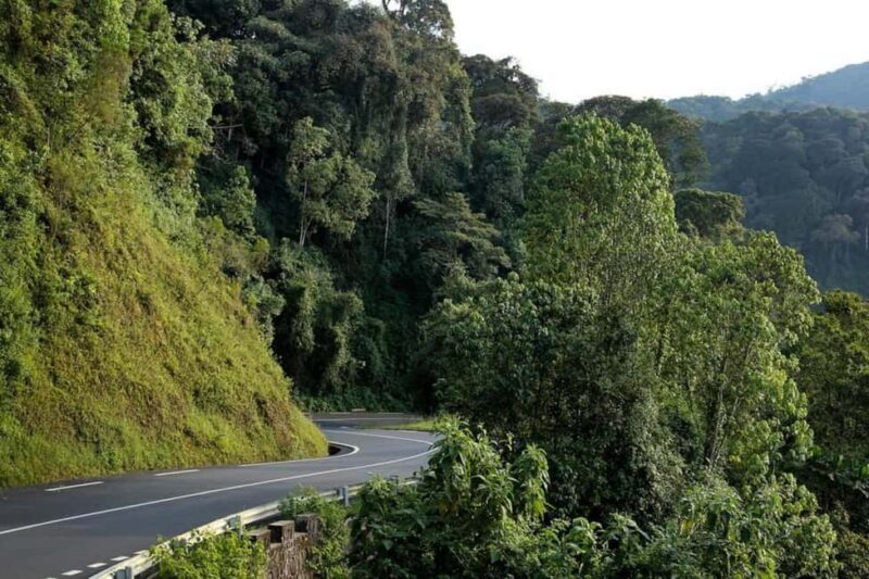 From Kigali: 2-Day Nyungwe National Park with Chimps Tour - Why This Tour Offers Real Value