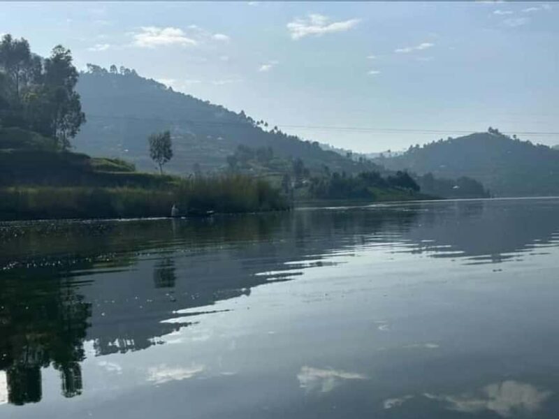 From Kigali: 3-Day Bwindi Gorilla Trekking & Lake Bunyonyi - An In-Depth Look at the 3-Day Tour
