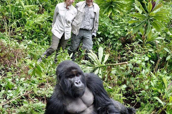 From Kigali: 3 Days Gorillas and golden monkeys trek Adventure - Why This Tour Offers Great Value