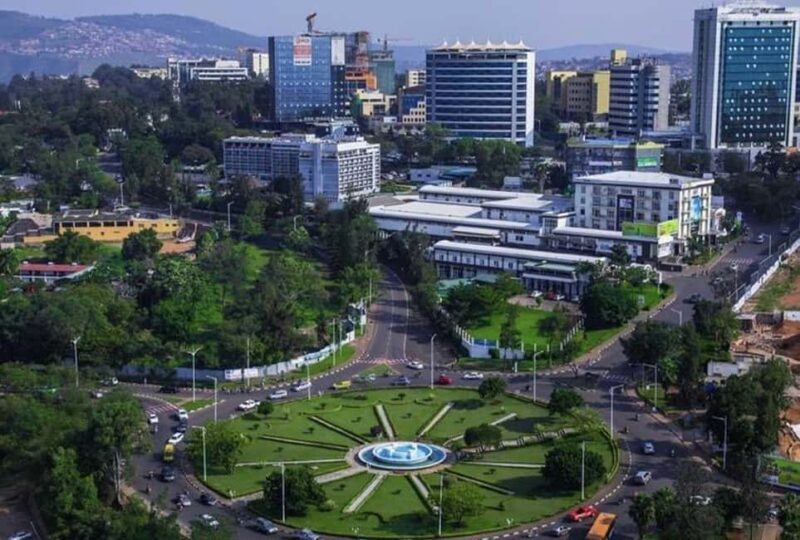 From Kigali: 4-Day Gorilla and Golden Monkey Safari - Who Will Love This Tour?