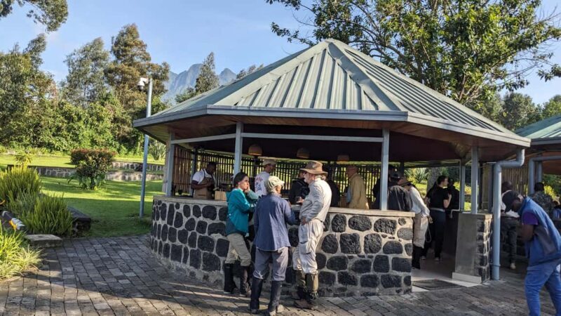 From Kigali: 5-Day Rwanda Highlights Tour - An In-Depth Look at the Tour Experience