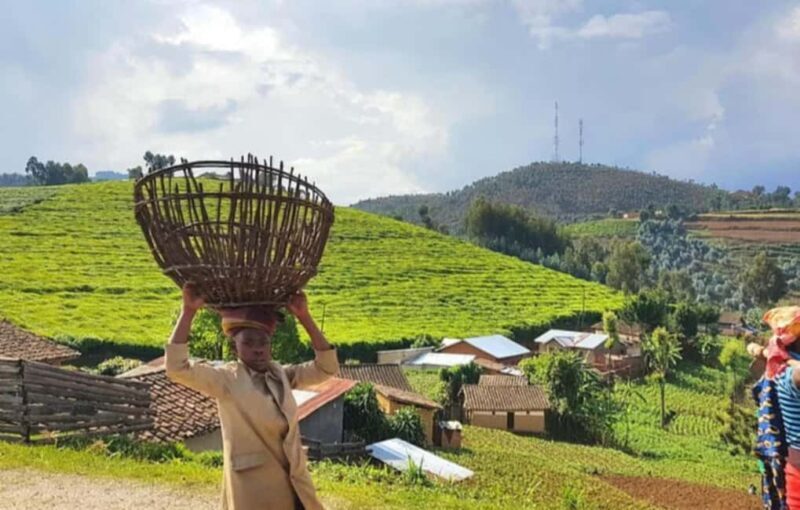 From Kigali: 5-Day Rwanda Highlights Tour - The Value of This Tour