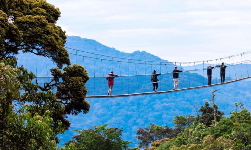 From Kigali: Canopy Walkway Day Trip in Nyungwe Forest - Key Points