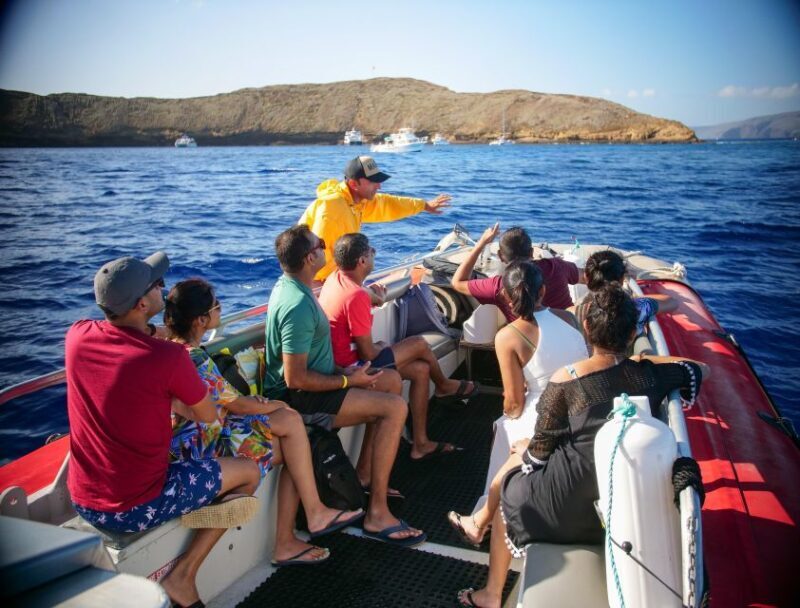 From Kihei: Molokini Crater and Turtle Town Snorkeling - Who Will Love This Tour?
