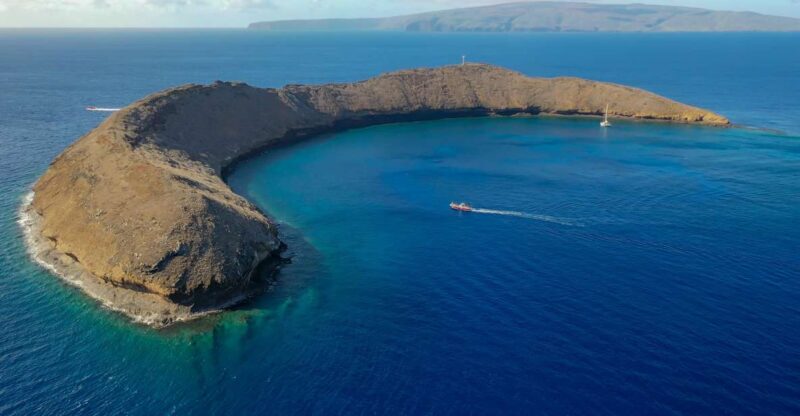 From Kihei: Molokini Crater and Turtle Town Snorkeling - Practical Tips for Booking and Enjoying