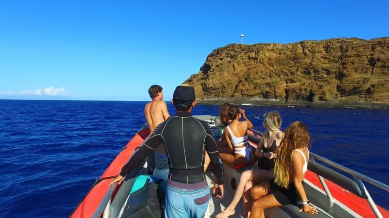 From Kihei: Molokini Crater and Turtle Town Snorkeling - FAQ
